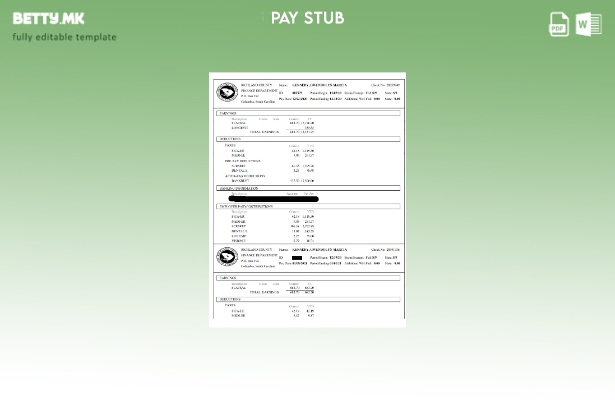 модерен стил шаблон за исплати на Одделот за финансии на округот Ричланд